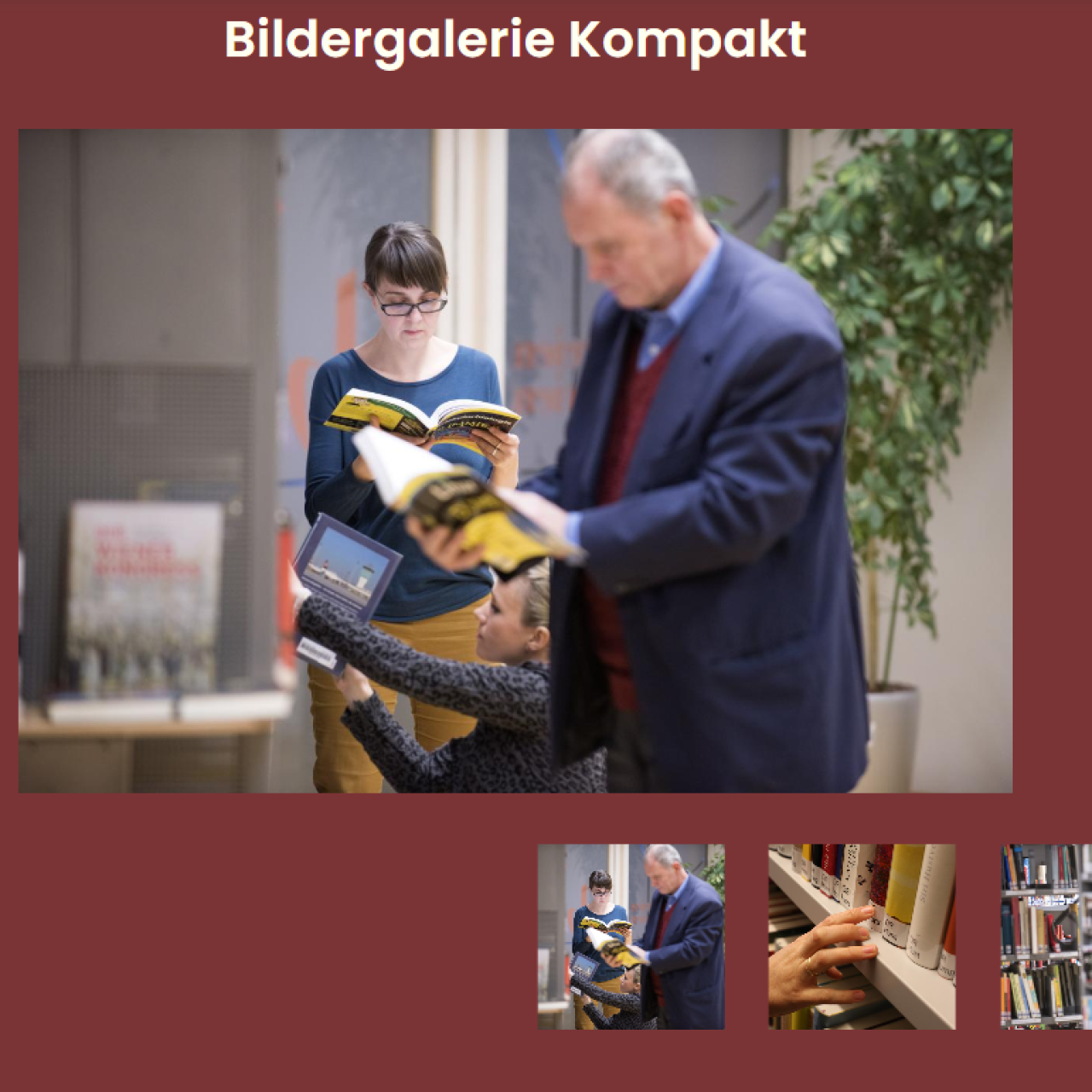 Bildergalerie kompakt